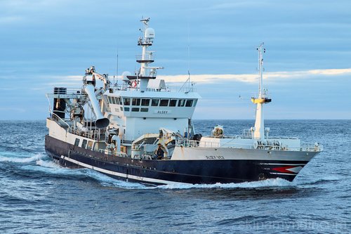 Álsey VE. Myndina tók Hólmgeir Austfjörð í fyrra.