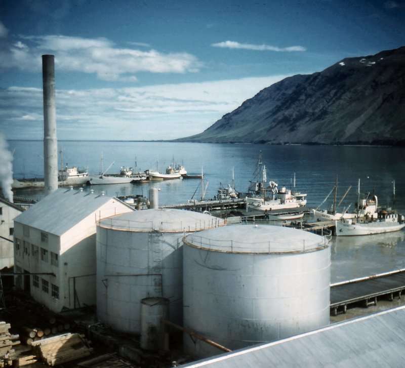 Síldarverksmiðjur ríkisins á Siglufirði voru ekkert annað en stóriðja þess tíma. Mynd/Steingrímur Kristinsson / Ljósmyndasafn Síldarminjasafnsins