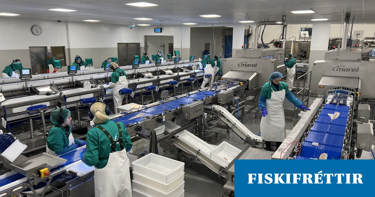 Sjávarklasinn og Skinney í samstarf um fullnýtingu