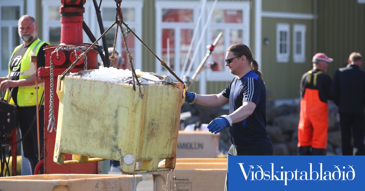 Viðreisn, strandveiðar og verðmætasköpun