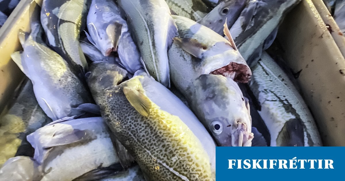 Verðmæti afla í maí var tæplega 18 milljarðar