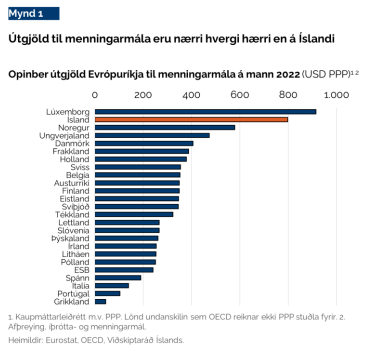 Ríkisútgjöld hérlendis í sérflokki.
