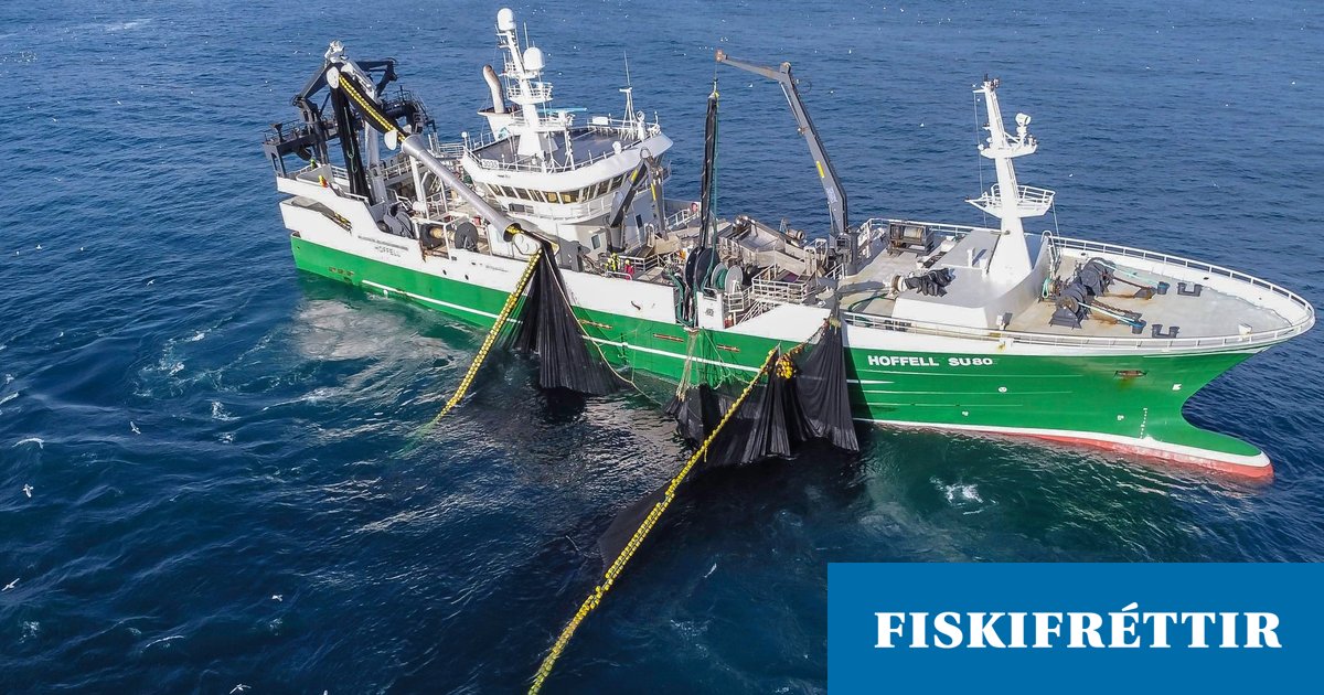 Síðasti túrinn í kolmunna og gengur vel