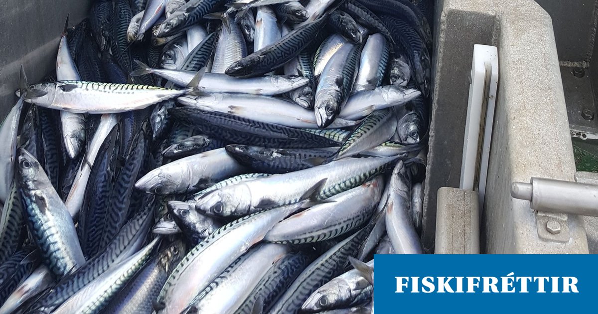 Ekkert samkomulag á fundi strandríkjanna