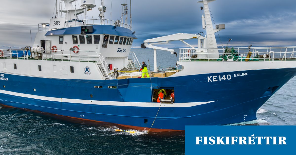 Vill suðvestan brælu til að fá hlutina á hreyfingu