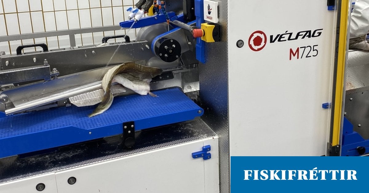 Starfsemi Vélfags stöðvuð