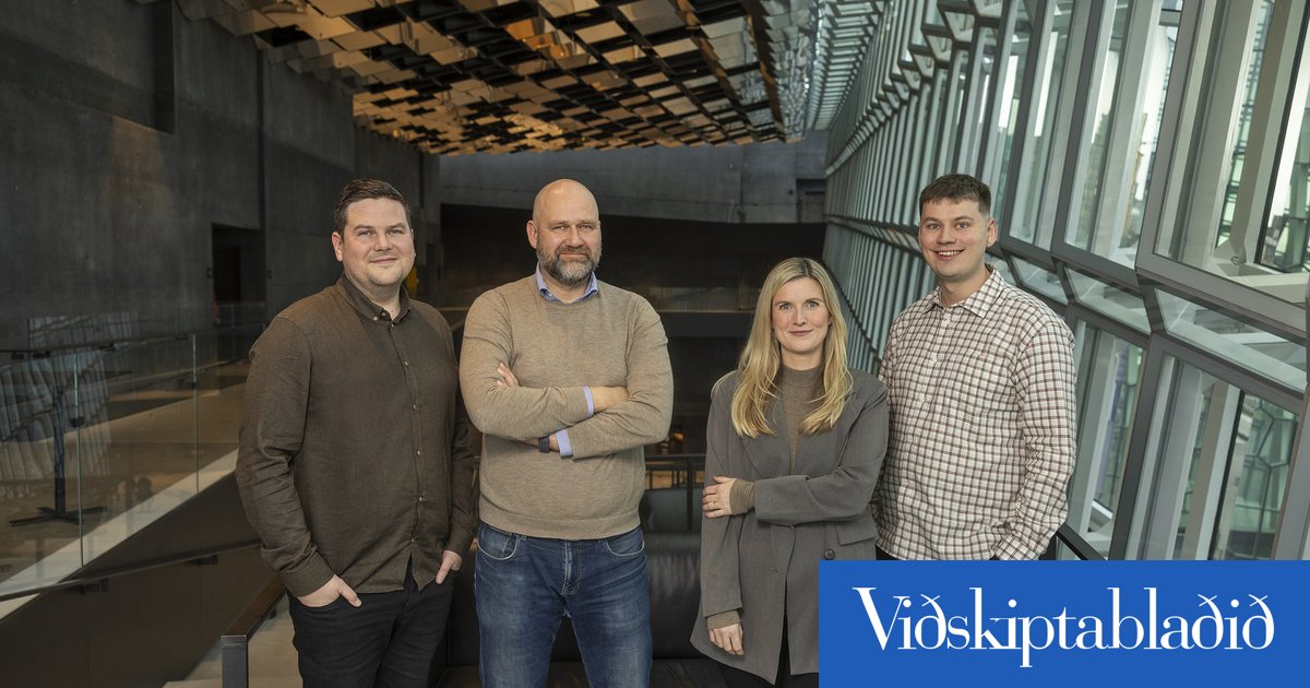 Tæknisprotinn Euler sækir 300 milljónir