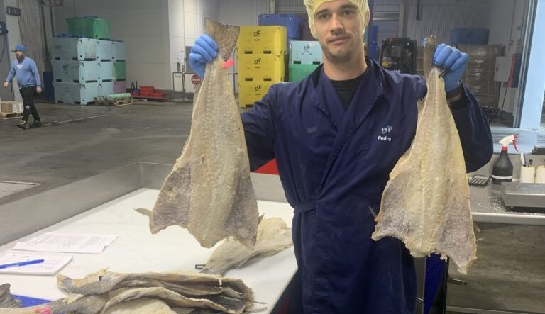 Pækill sem aukaafurð í ferskvatnsframleiðslu VSV