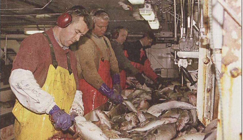 Gamla fréttin: Atkvæðaveiðar athyglissjúkra þingmanna