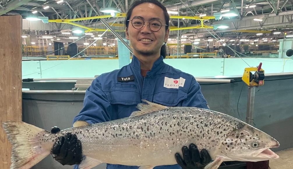 Norskt laxeldisfyrirtæki í Japan í kröggum