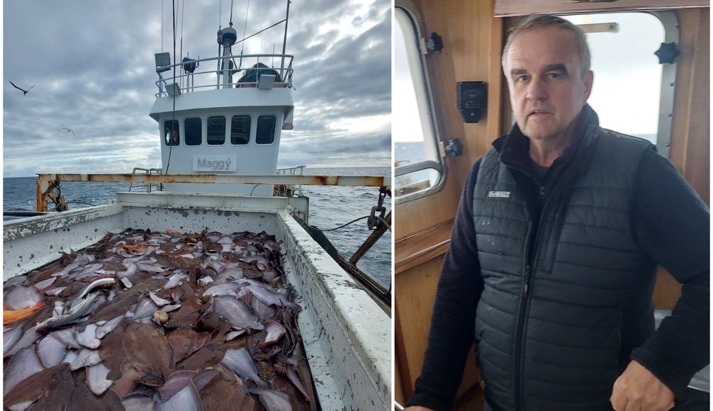 Stór þorskur í svartamyrkri og langlúra á daginn