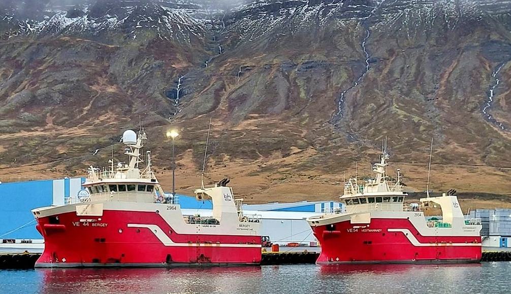 „Þorskurinn er hérna fyrir austan að elta síldina“
