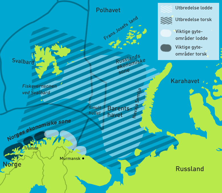 Útbreiðsla þorsks og loðnu í Barentshafi, ásamt helstu hrygningarstöðvum.