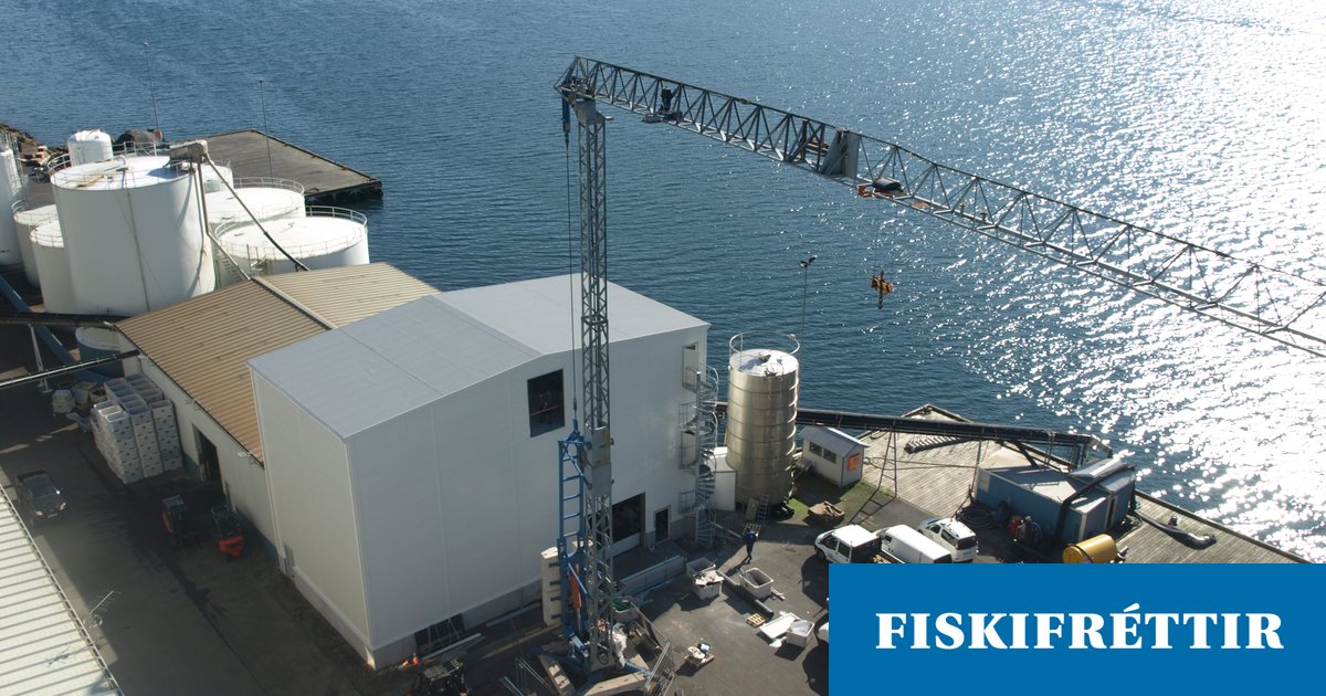 Friðrik Mar hættir hjá Loðnuvinnslunni